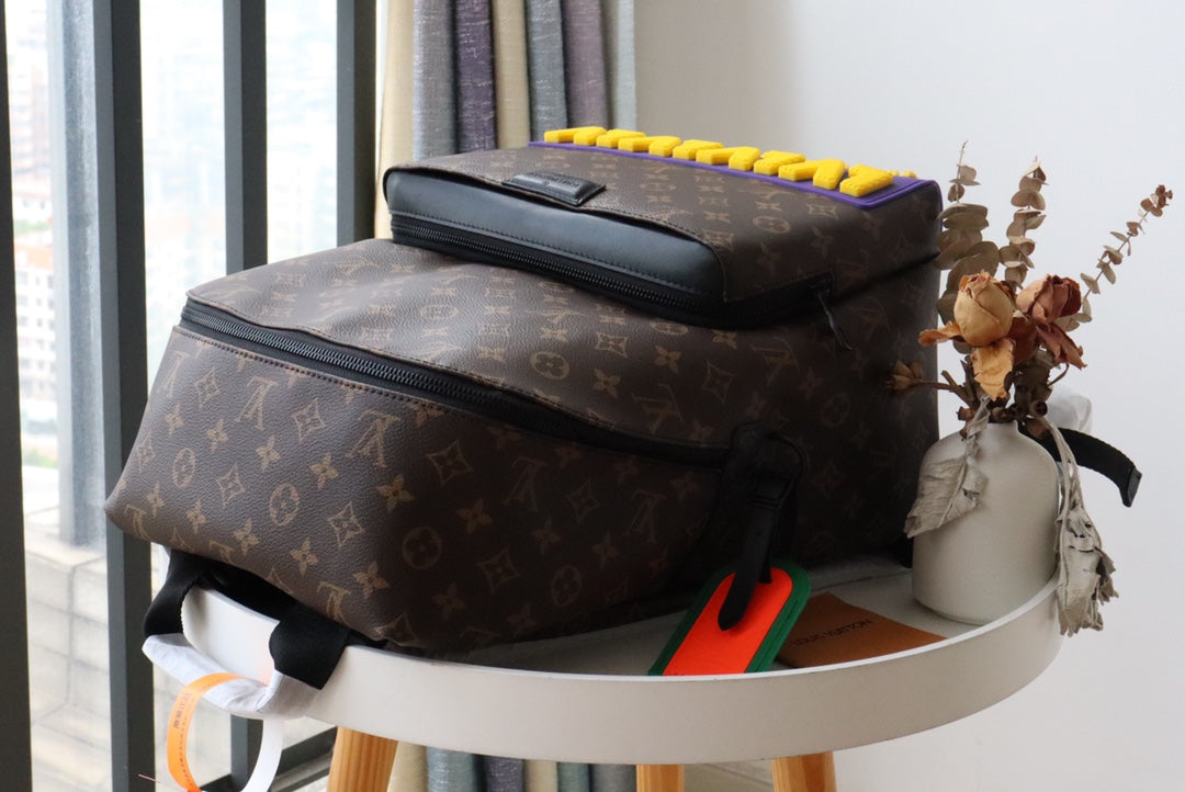 LV Backpack (Discovery Monogram)