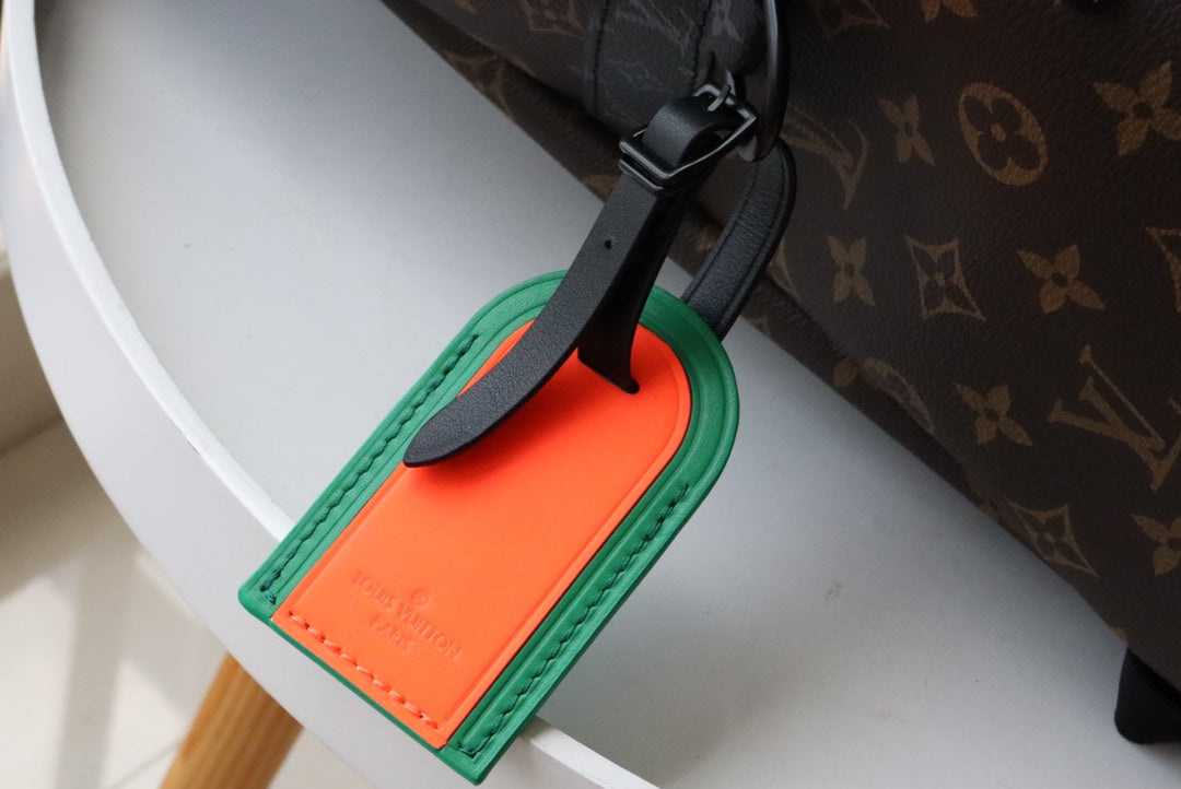 LV Backpack (Discovery Monogram)