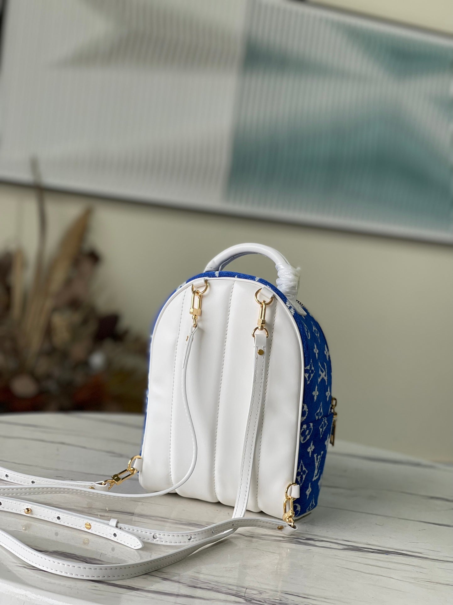 LV Backpack (Monogram Jacquard Palm Springs)