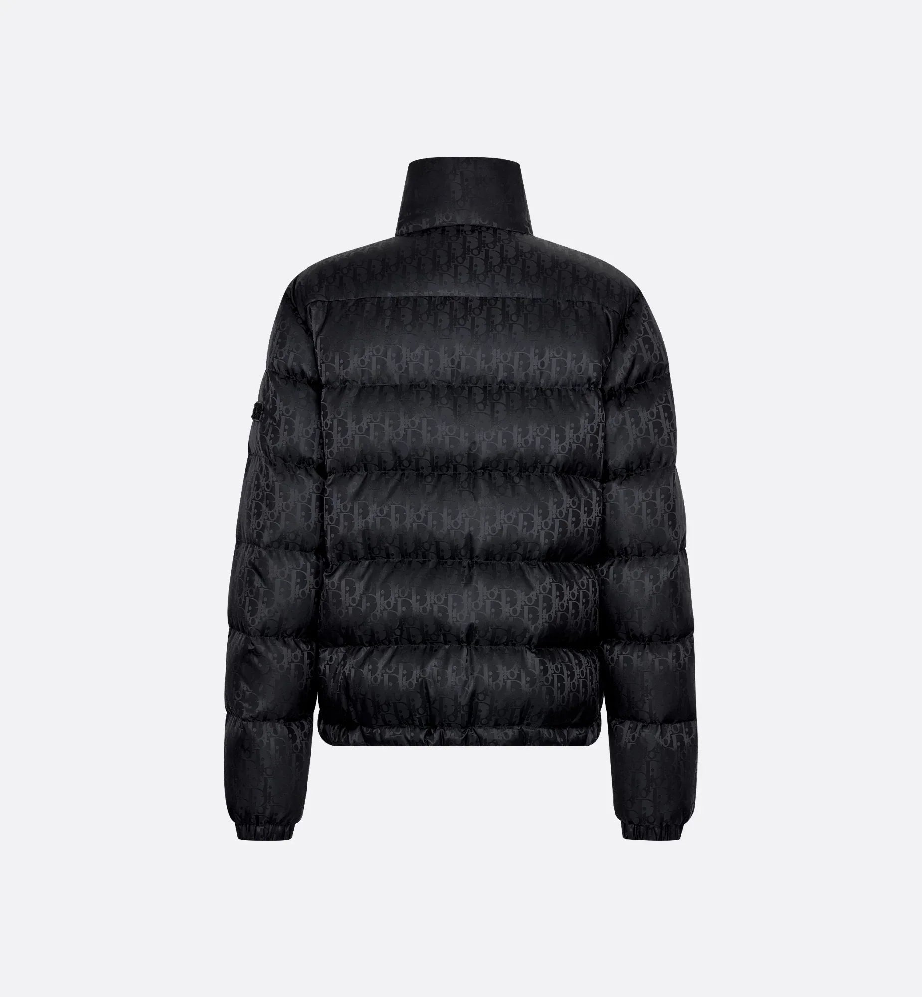 Dior Oblique Down Jacket