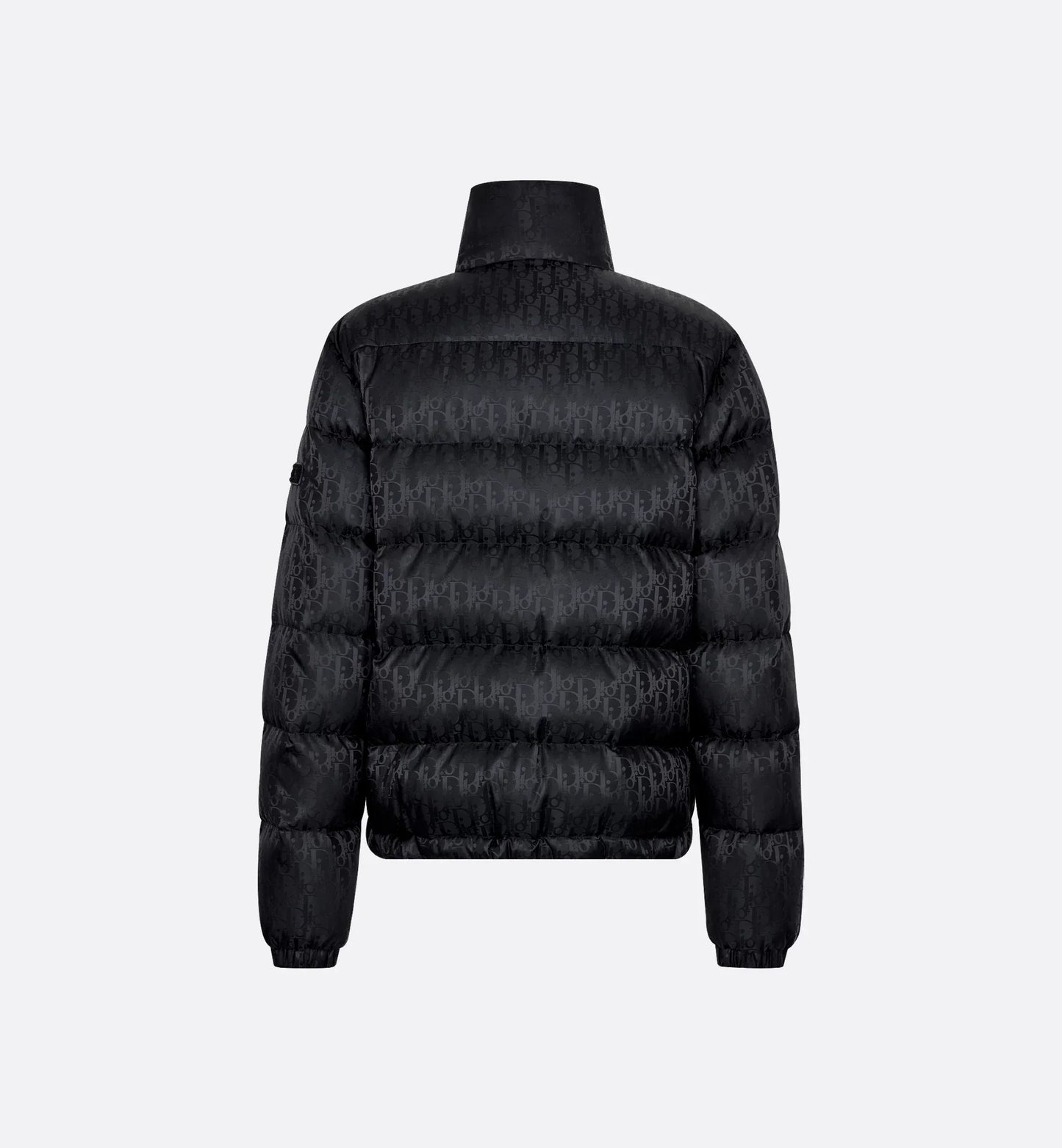 Dior Oblique Down Jacket