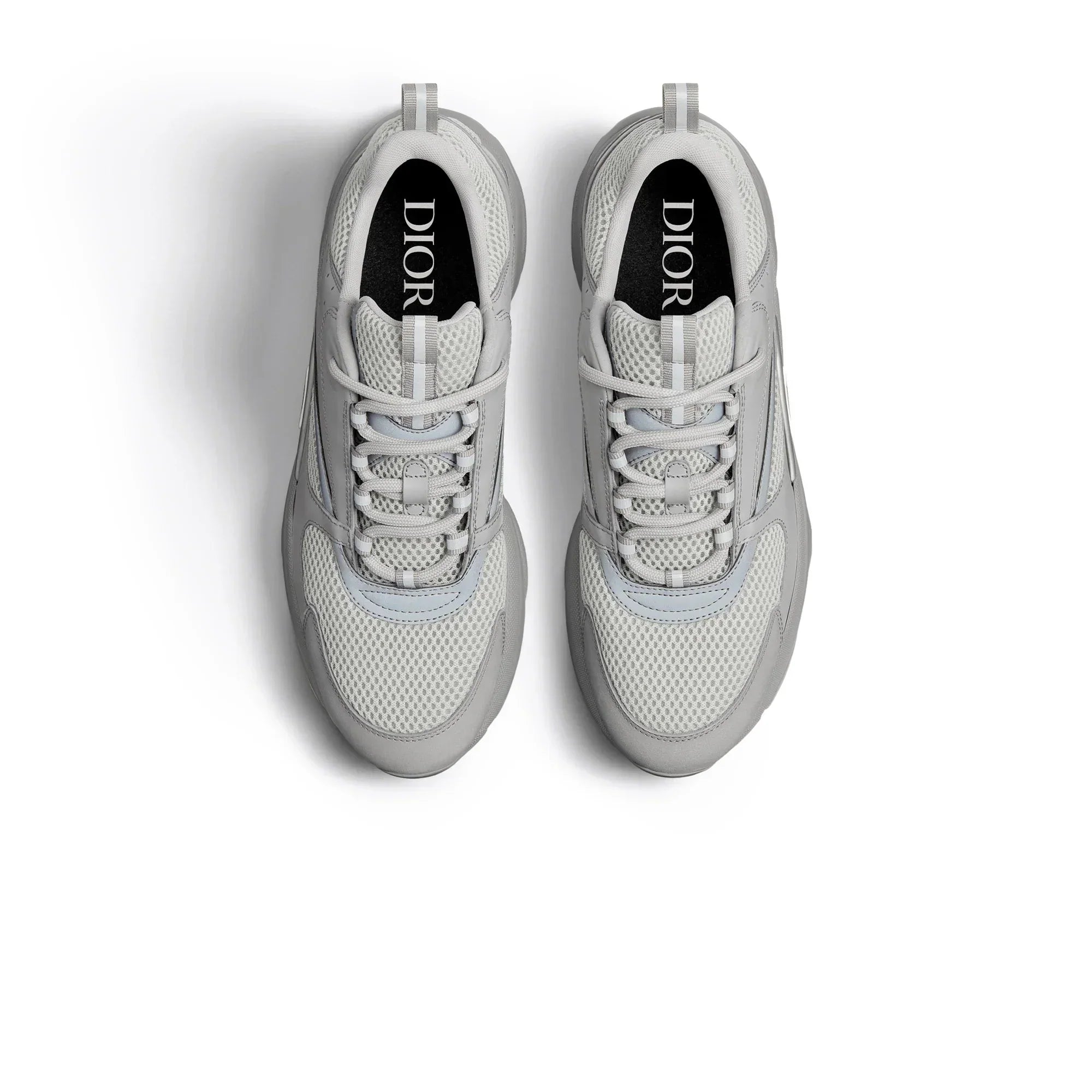 Dior B22 Trainer - (Grey)