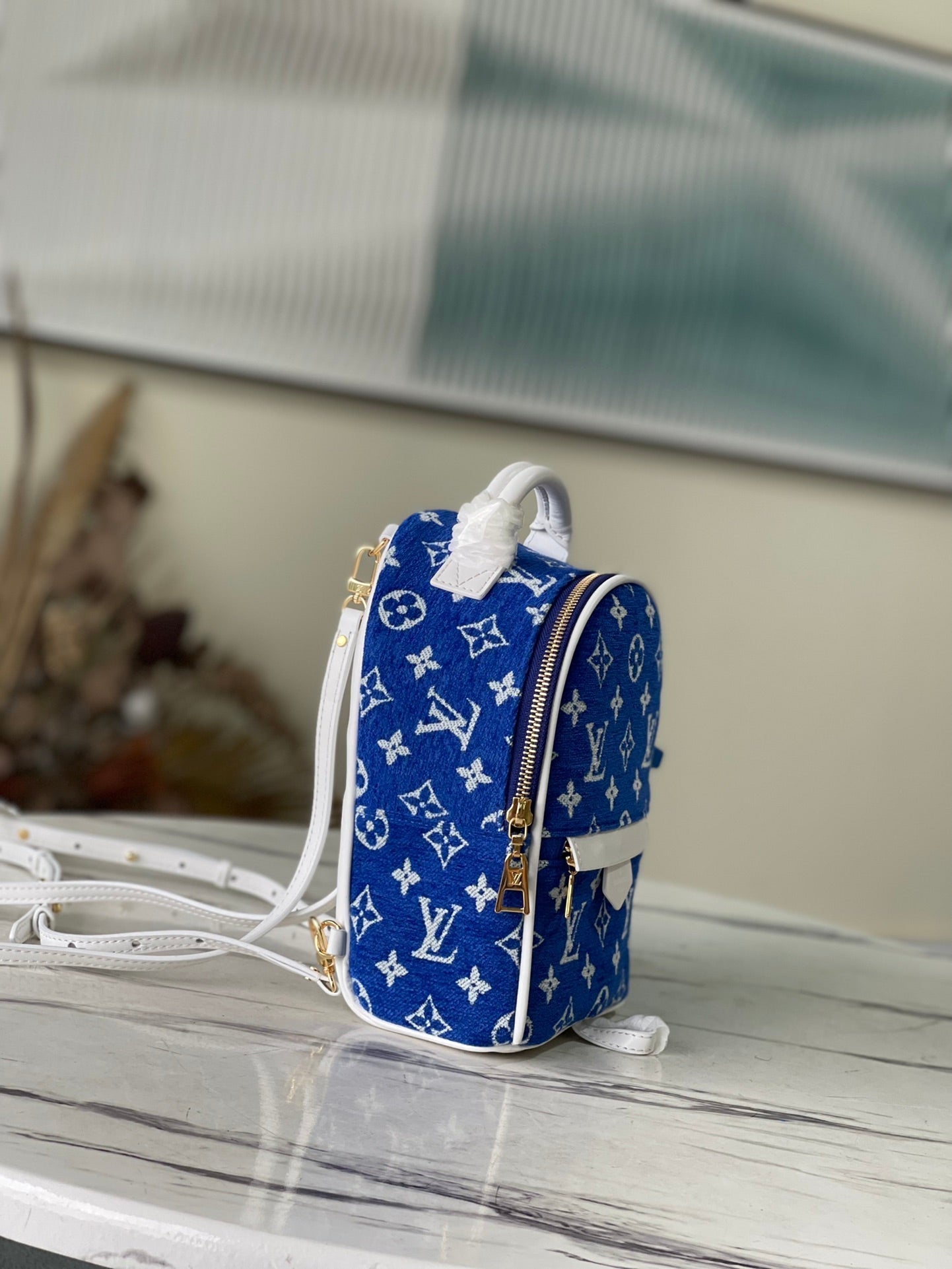 LV Backpack (Monogram Jacquard Palm Springs)
